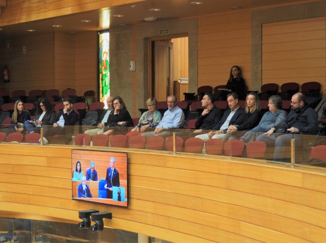 A lectura da declaración institucional foi seguida, desde a tribuna da público, por unha delegación da Federación Galega de Dano Cerebral